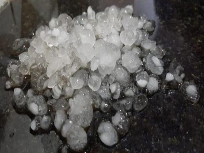 Dhudgoos of the bull in Maharashtra; Hail Warning | महाराष्ट्रात वळवाचा धुडगूस, गारपिटीचा इशारा; बळीराजा चिंतातूर Dhudgoos of the bull in Maharashtra; Hail Warning | महाराष्ट्रात वळवाचा धुडगूस, गारपिटीचा इशारा; बळीराजा चिंतातूर