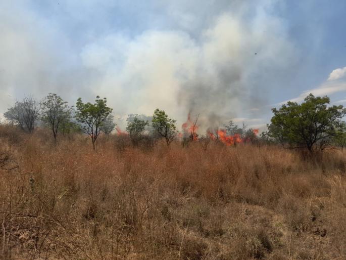 Create fire prevention teams for forests; Appeal of Padmashri Poptrao Pawar | गावोगोवी 'वणवा' प्रतिबंधक पथके निर्माण करा; पद्मश्री पोपटराव पवार यांचे आवाहन Create fire prevention teams for forests; Appeal of Padmashri Poptrao Pawar | गावोगोवी 'वणवा' प्रतिबंधक पथके निर्माण करा; पद्मश्री पोपटराव पवार यांचे आवाहन