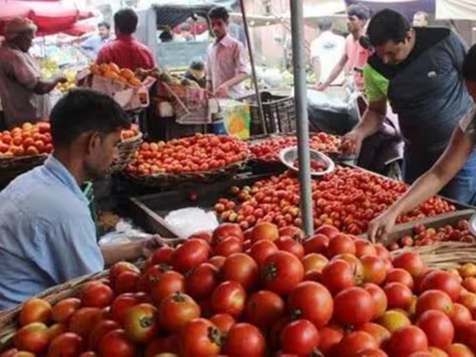 Why did tomatoes become expensive? The price increased but the farmers benefited | टोमॅटो महाग का झाला? भाव वाढला पण शेतकऱ्यांना होईना फायदा Why did tomatoes become expensive? The price increased but the farmers benefited | टोमॅटो महाग का झाला? भाव वाढला पण शेतकऱ्यांना होईना फायदा