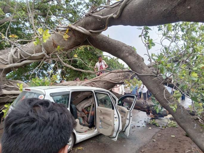 35 houses damaged, trees uprooted due to storm in Nandurbar district | नंदुरबार जिल्ह्यात वादळामुळे ३५ घरांचे नुकसान; झाडे उन्मळून पडली 35 houses damaged, trees uprooted due to storm in Nandurbar district | नंदुरबार जिल्ह्यात वादळामुळे ३५ घरांचे नुकसान; झाडे उन्मळून पडली