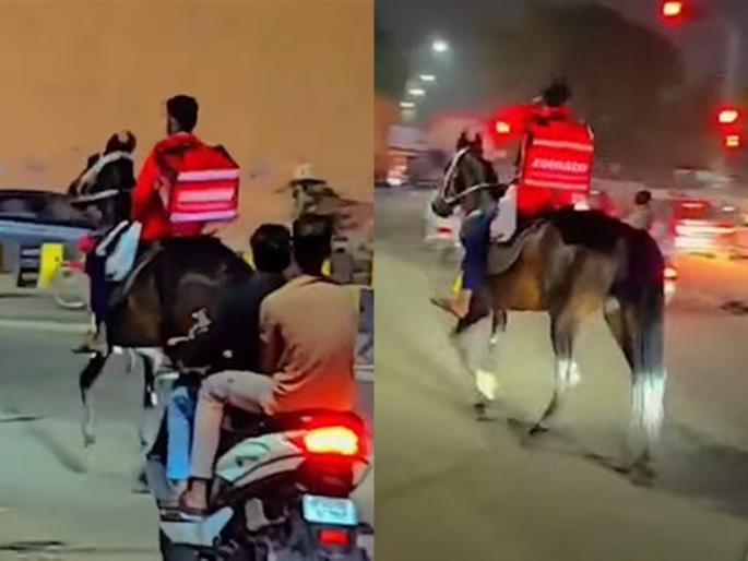 Naad Khula... So Zomato Boy made the delivery on a horse in hyderabad telangana | Video: नाद खुळा... म्हणून झोमॅटो बॉय थेट घोड्यावरुन ग्राहकाच्या दारात Naad Khula... So Zomato Boy made the delivery on a horse in hyderabad telangana | Video: नाद खुळा... म्हणून झोमॅटो बॉय थेट घोड्यावरुन ग्राहकाच्या दारात