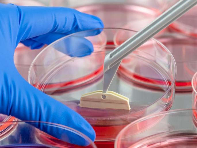 ‘Tissue Engineering’: Human Organ Shop!, achyyut godbole | माहितीपूर्ण लेख: ‘टिश्यू इंजिनिअरिंग’: मानवी अवयवांची दुकानं!