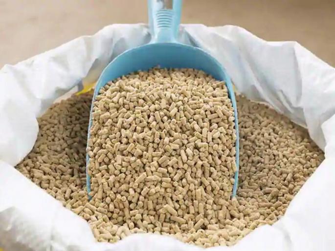 One and a half hundred animal feed projects run without BIS certification! | बीआयएसच्या मानांकनाविनाच चालतात दीडशे पशुखाद्य प्रकल्प! One and a half hundred animal feed projects run without BIS certification! | बीआयएसच्या मानांकनाविनाच चालतात दीडशे पशुखाद्य प्रकल्प!