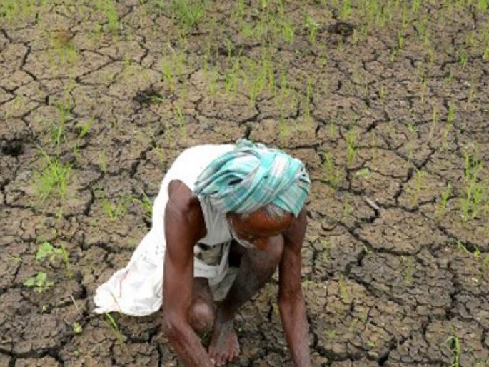 Farmers shed tears after getting 'that' land, 100 acres of land returned | ‘त्या’ जमिनी मिळाल्याने शेतकऱ्यांना अश्रू अनावर, १०० एकर जमीनी परत Farmers shed tears after getting 'that' land, 100 acres of land returned | ‘त्या’ जमिनी मिळाल्याने शेतकऱ्यांना अश्रू अनावर, १०० एकर जमीनी परत