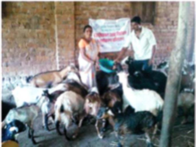 Dollar of many families in Savar through integrated farming system | एकात्मिक शेतीपद्धतीतून सावरला अनेक कुटुंबांचा डोलारा