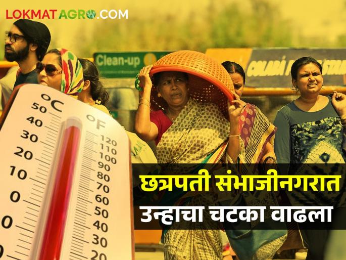 Chhatrapati Sambhajinagar recorded 43.4 degrees Celsius, after 24 hours... | छत्रपती संभाजीनगरमध्ये 43.4 अंश तापमानाची नोंद, 24 तासानंतर... Chhatrapati Sambhajinagar recorded 43.4 degrees Celsius, after 24 hours... | छत्रपती संभाजीनगरमध्ये 43.4 अंश तापमानाची नोंद, 24 तासानंतर...