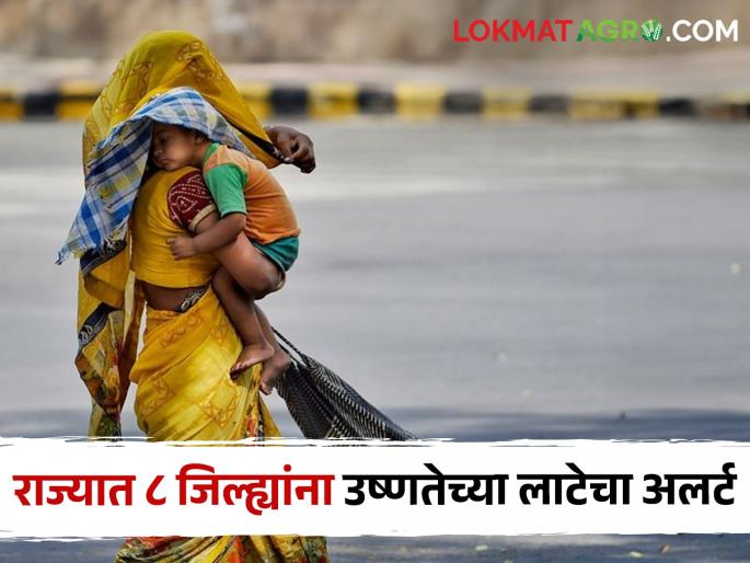 Heat wave: Heat wave warning in 8 districts of the state today, check if your district has.. | heat wave:आज राज्यात ८ जिल्ह्यात उष्णतेच्या लाटांचा इशारा, तुमचा जिल्हा आहे का तपासा.. Heat wave: Heat wave warning in 8 districts of the state today, check if your district has.. | heat wave:आज राज्यात ८ जिल्ह्यात उष्णतेच्या लाटांचा इशारा, तुमचा जिल्हा आहे का तपासा..