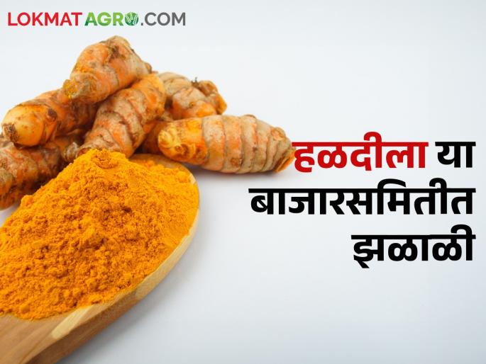 Turmeric market: Market price of turmeric in other places including Hingoli, Sangli | turmeric market: हिंगोली, सांगलीसह उर्वरित ठिकाणी हळदीला मिळाला असा बाजारभाव Turmeric market: Market price of turmeric in other places including Hingoli, Sangli | turmeric market: हिंगोली, सांगलीसह उर्वरित ठिकाणी हळदीला मिळाला असा बाजारभाव