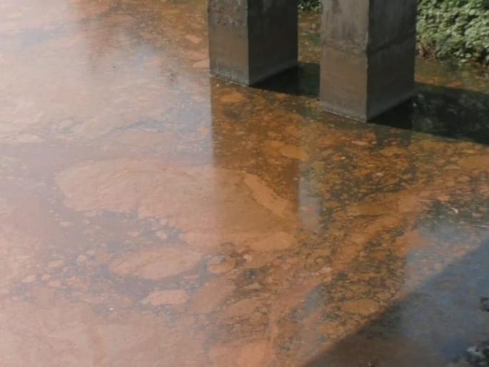 Saffron Colour on the Waldhuni River in Ambarnath due to Chemicals from MIDC | MIDC तील केमिकलमुळे अंबरनाथच्या वालधुनी नदीवर भगवा तवंग; नागरिकांचे आरोग्य धोक्यात Saffron Colour on the Waldhuni River in Ambarnath due to Chemicals from MIDC | MIDC तील केमिकलमुळे अंबरनाथच्या वालधुनी नदीवर भगवा तवंग; नागरिकांचे आरोग्य धोक्यात