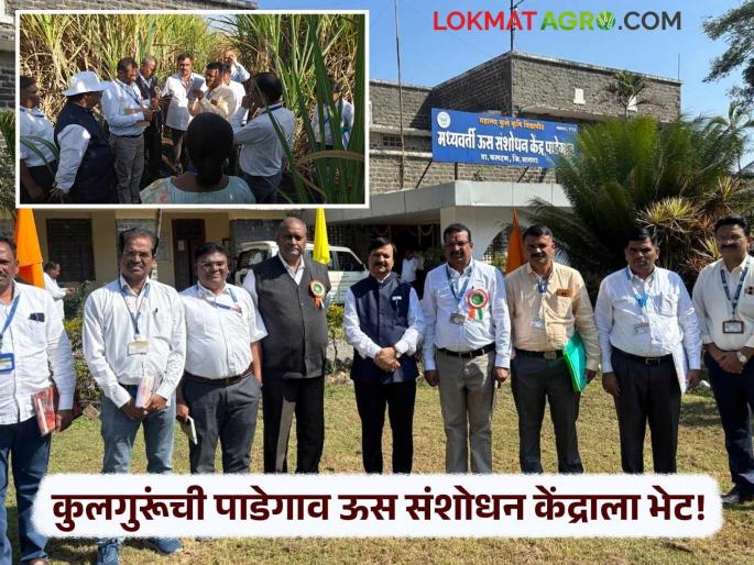 The names of sugarcane varieties at farmers' homes are the true glory of Padegaon Sugarcane Research Center - Vice Chancellor | शेतकऱ्यांच्या घरांना ऊस वाणांचे नाव हेच खरे पाडेगाव ऊस संशोधन केंद्राचे वैभव - कुलगुरू The names of sugarcane varieties at farmers' homes are the true glory of Padegaon Sugarcane Research Center - Vice Chancellor | शेतकऱ्यांच्या घरांना ऊस वाणांचे नाव हेच खरे पाडेगाव ऊस संशोधन केंद्राचे वैभव - कुलगुरू