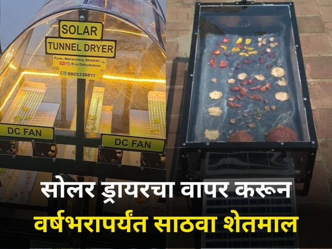 agricultural produce market price Solar dryer information in marathi agri products store and sell | सोलर ड्रायरचा वापर करून वर्षभरापर्यंत साठवता येणार शेतमाल agricultural produce market price Solar dryer information in marathi agri products store and sell | सोलर ड्रायरचा वापर करून वर्षभरापर्यंत साठवता येणार शेतमाल