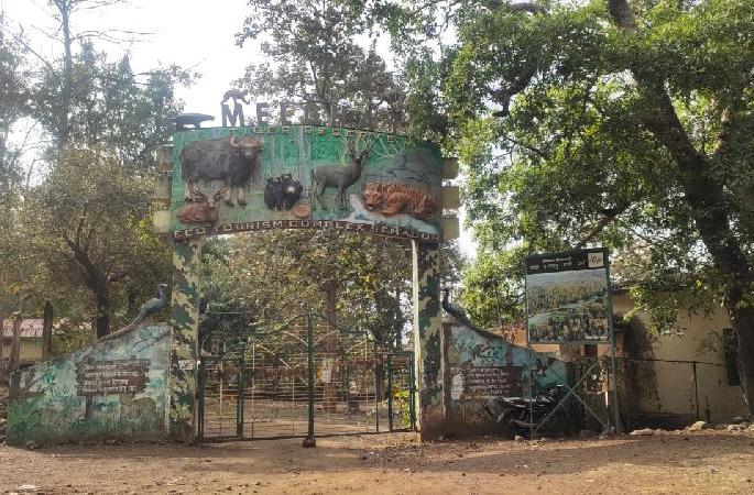 Melghat Tiger Reserve to be closed till next order amid covid-19 | मेळघाट व्याघ्र प्रकल्पातील पर्यटन ‘लॉकडाऊन’, विश्रामगृहांना टाळे Melghat Tiger Reserve to be closed till next order amid covid-19 | मेळघाट व्याघ्र प्रकल्पातील पर्यटन ‘लॉकडाऊन’, विश्रामगृहांना टाळे