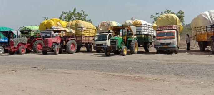  Planning to purchase whole cotton before the monsoon; Increased daily number of farmers! | पावसाळ्यापूर्वी संपूर्ण कापूस खरेदीचे नियोजन; दैनंदिन शेतकरी संख्या वाढविली!