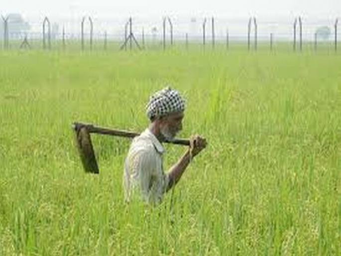 Banks ready to provide loans to farmers for kharif; Total debt of Rs 167 crore | शेतकऱ्यांना खरिपासाठी कर्जपुरवठ्यास बँका तयार; १६७ कोटींचे एकूण कर्ज  Banks ready to provide loans to farmers for kharif; Total debt of Rs 167 crore | शेतकऱ्यांना खरिपासाठी कर्जपुरवठ्यास बँका तयार; १६७ कोटींचे एकूण कर्ज