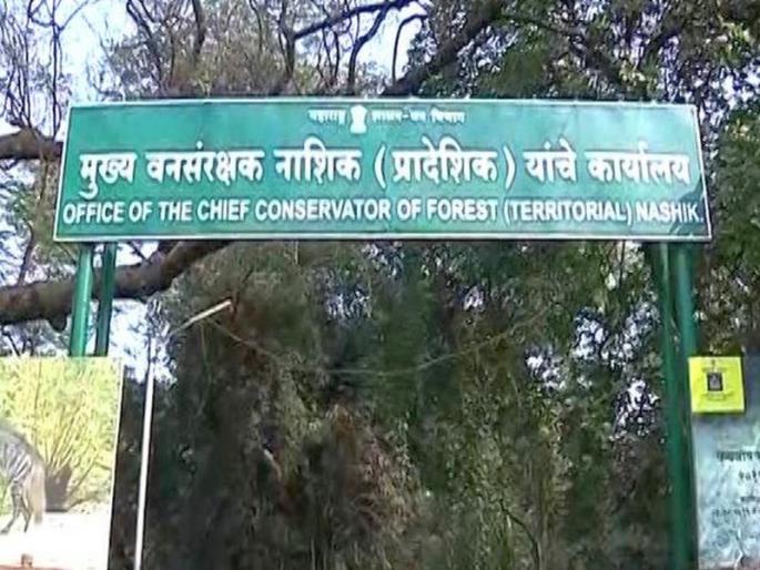 Nashik will soon have a chief forest ranger | नाशिकला लवकरच लाभणार मुख्य वनसंरक्षक Nashik will soon have a chief forest ranger | नाशिकला लवकरच लाभणार मुख्य वनसंरक्षक