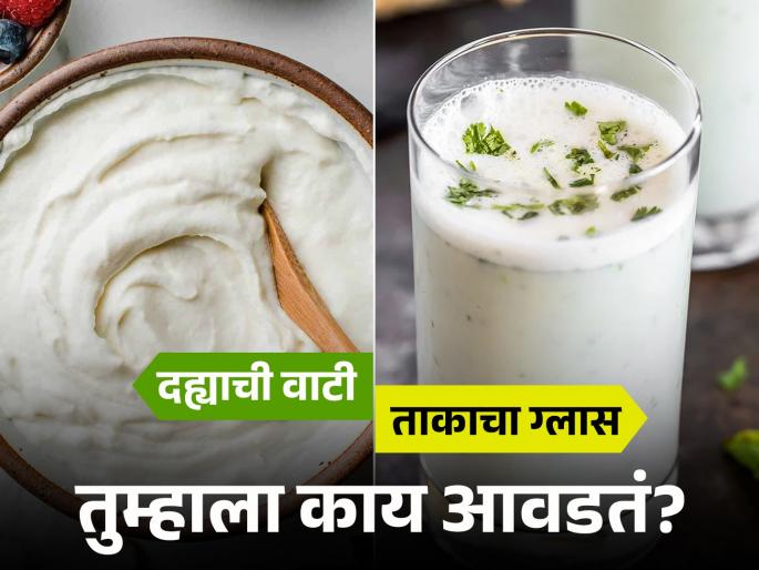 curd or buttermilk Which is more beneficial for health Ayurveda solves all doubts | दही की ताक?, आरोग्यासाठी सर्वाधिक गुणकारी काय?; आयुर्वेदानं दूर केल्यात सगळ्या शंका curd or buttermilk Which is more beneficial for health Ayurveda solves all doubts | दही की ताक?, आरोग्यासाठी सर्वाधिक गुणकारी काय?; आयुर्वेदानं दूर केल्यात सगळ्या शंका