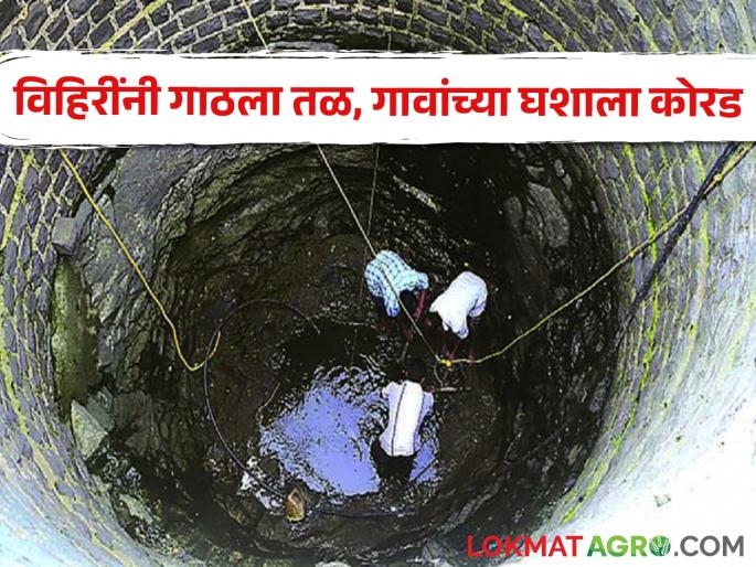 Due to the heat, the wells have reached the bottom, the throats of 349 villages are dry | उन्हामुळे विहिरींनी गाठला तळ, ३४९ गावांच्या घशाला कोरड 