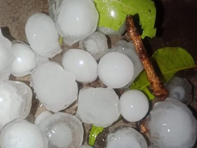 snow fall and storm in Chalisgaon taluka | चाळीसगाव तालुक्यात वादळी वाऱ्यासह गारपीट snow fall and storm in Chalisgaon taluka | चाळीसगाव तालुक्यात वादळी वाऱ्यासह गारपीट