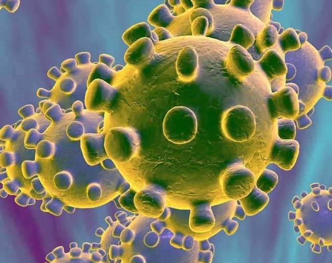 In Kolhapur district, 182 new corona patients, five deaths, the number reached 2707 | कोल्हापूर जिल्ह्यात नवे १८२ कोरोना रुग्ण, पाच मृत्यू, संख्या पोहचली २७०७ वर