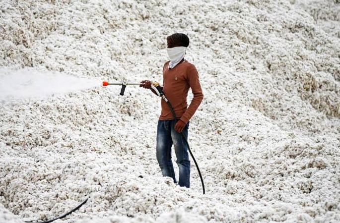 CCI stopped buying cotton due to 'Corona' | ‘कोरोना’मुळे ‘सीसीआय’ची कापूस खरेदी बंद CCI stopped buying cotton due to 'Corona' | ‘कोरोना’मुळे ‘सीसीआय’ची कापूस खरेदी बंद