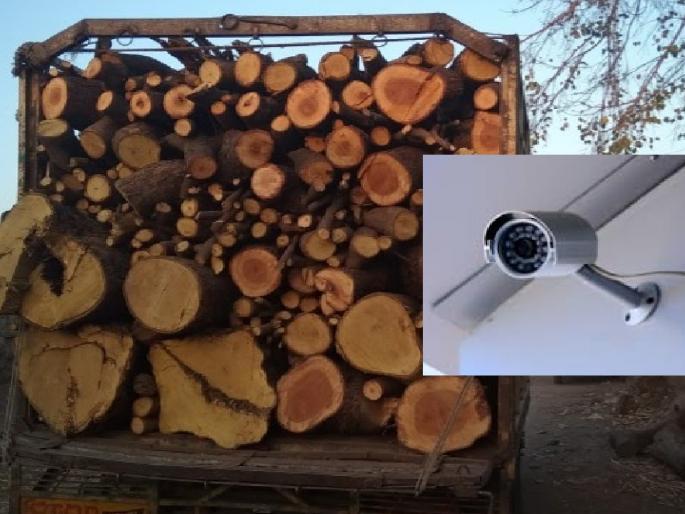 CCTV camera eye on timber traffic in Ratnagiri district, cameras installed at Kumbharli ghat | रत्नागिरी जिल्ह्यातील लाकूड वाहतुकीवर सीसीटिव्ही कॅमेऱ्याची नजर, कुंभार्ली घाटात बसवले कॅमेरे CCTV camera eye on timber traffic in Ratnagiri district, cameras installed at Kumbharli ghat | रत्नागिरी जिल्ह्यातील लाकूड वाहतुकीवर सीसीटिव्ही कॅमेऱ्याची नजर, कुंभार्ली घाटात बसवले कॅमेरे