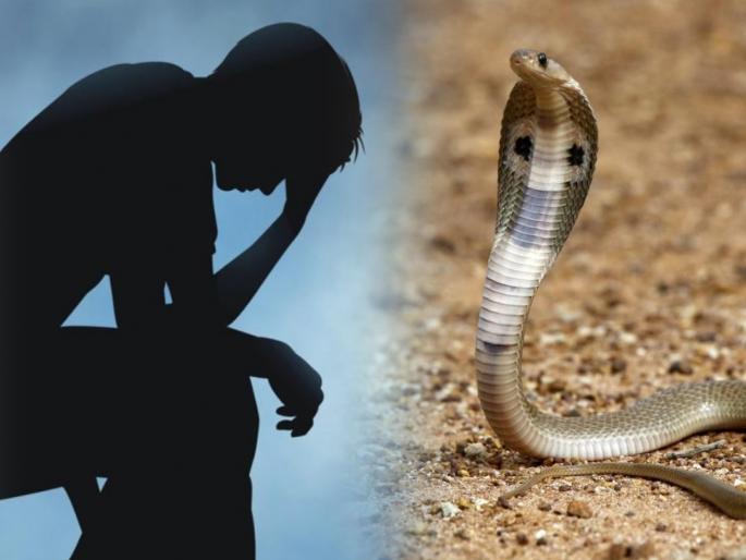 Homeowners Burned House Trying To Kill Snakes That Entered Home | एका सापाला मारण्याच्या नादात रस्त्यावर आला व्यक्ती, डोळ्यांसमोर झालं ७ कोटी रूपयांचं नुकसान Homeowners Burned House Trying To Kill Snakes That Entered Home | एका सापाला मारण्याच्या नादात रस्त्यावर आला व्यक्ती, डोळ्यांसमोर झालं ७ कोटी रूपयांचं नुकसान