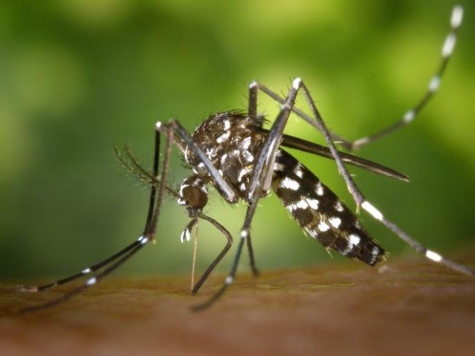 Caution, the number of dengue patients is increasing | सावधान, डेंग्यू रुग्णांचे प्रमाण वाढत आहे