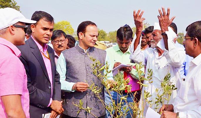Central team's drought tour; Officers just do not have any work in the past ... | केंद्रीय पथकाचा दुष्काळी दौरा ; अधिकारी नुसते येत्यात अन् जात्यात पदरात कायबी नाय... Central team's drought tour; Officers just do not have any work in the past ... | केंद्रीय पथकाचा दुष्काळी दौरा ; अधिकारी नुसते येत्यात अन् जात्यात पदरात कायबी नाय...