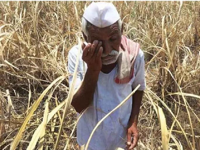 Fraud of a farmer in one and a half lakhs; Crime against traders of Lasalgaon | शेतकऱ्याची दीड लाखांत फसवणूक; लासलगावच्या व्यापाऱ्यांविरुद्ध गुन्हा  Fraud of a farmer in one and a half lakhs; Crime against traders of Lasalgaon | शेतकऱ्याची दीड लाखांत फसवणूक; लासलगावच्या व्यापाऱ्यांविरुद्ध गुन्हा