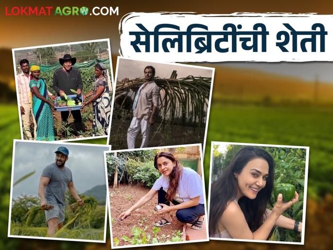 Celebrities Farming this Celebrities work in the fields, how do they farming? | Celebrities Farming हे सेलिब्रिटी करतात शेतात काम, कशी करतात शेती?