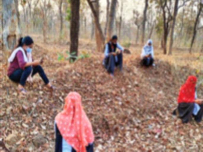 Students solved online exam papers sitting in the forest | विद्यार्थ्यांनी ऑनलाइन परीक्षेचे पेपर सोडवले जंगलात बसून Students solved online exam papers sitting in the forest | विद्यार्थ्यांनी ऑनलाइन परीक्षेचे पेपर सोडवले जंगलात बसून
