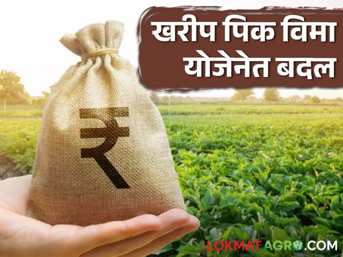 Crop Insurance Mandates insurance companies to provide 100 percent compensation in case of damage to crops at any stage | Crop Insurance पिकांच्या कोणत्याही अवस्थेत नुकसान झाल्यास १०० टक्के नुकसानभरपाई देण्याचे विमा कंपन्यांना आदेश Crop Insurance Mandates insurance companies to provide 100 percent compensation in case of damage to crops at any stage | Crop Insurance पिकांच्या कोणत्याही अवस्थेत नुकसान झाल्यास १०० टक्के नुकसानभरपाई देण्याचे विमा कंपन्यांना आदेश