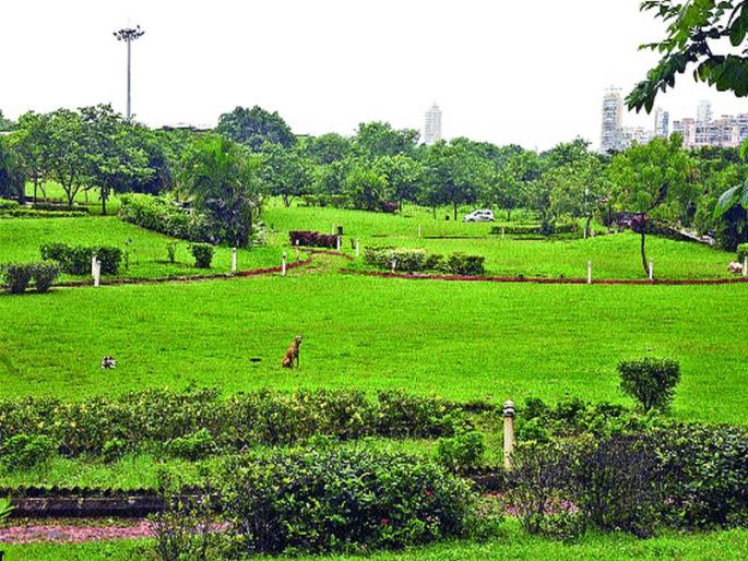 Next year's moment for Central Park, CIDCO's ten-year stalled project | सेंट्रल पार्कसाठी पुढच्या वर्षीचा मुहूर्त, सिडकोचा दहा वर्षांपासून रखडलेला प्रकल्प Next year's moment for Central Park, CIDCO's ten-year stalled project | सेंट्रल पार्कसाठी पुढच्या वर्षीचा मुहूर्त, सिडकोचा दहा वर्षांपासून रखडलेला प्रकल्प