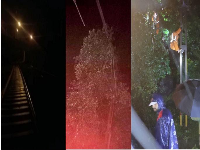 A tree fell on an overhead wire near Umbarmali station, disrupting Central Railway traffic | मध्य रेल्वेची वाहतूक विस्कळीत, उंबरमाळी स्टेशनजवळ ओव्हरहेड वायरवर झाड कोसळले A tree fell on an overhead wire near Umbarmali station, disrupting Central Railway traffic | मध्य रेल्वेची वाहतूक विस्कळीत, उंबरमाळी स्टेशनजवळ ओव्हरहेड वायरवर झाड कोसळले