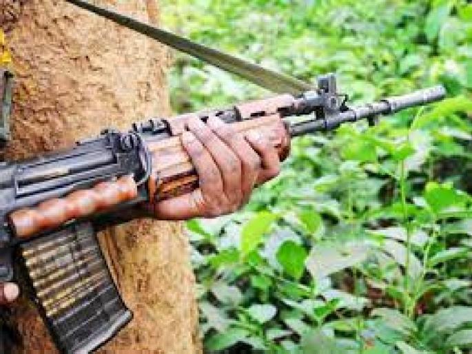 Two Naxals arrested in anti-mining protest in Surjagad | सुरजागडमधील खाणविरोधी मोर्चात सहभागी दोन नक्षलींना अटक Two Naxals arrested in anti-mining protest in Surjagad | सुरजागडमधील खाणविरोधी मोर्चात सहभागी दोन नक्षलींना अटक