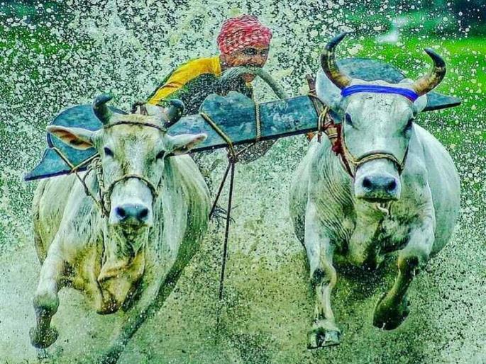 Modi government's great relief to farmers; Distribution of 1.22 crore Kisan Credit Cards | शेतकऱ्यांना मोदी सरकारची मोठी मदत; कमी व्याजाच्या 1.22 कोटी किसान क्रेडिट कार्डचे वाटप Modi government's great relief to farmers; Distribution of 1.22 crore Kisan Credit Cards | शेतकऱ्यांना मोदी सरकारची मोठी मदत; कमी व्याजाच्या 1.22 कोटी किसान क्रेडिट कार्डचे वाटप
