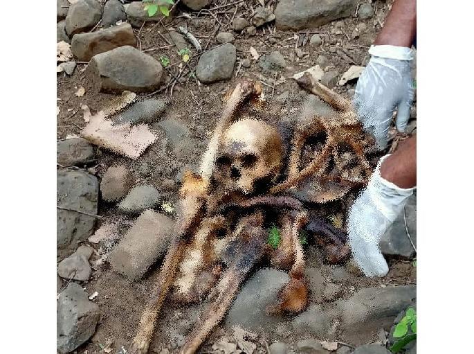 Skeleton found in Somalgad forest | सोमलगड जंगलात सापडला मानवी हाडांचा सांगाडा Skeleton found in Somalgad forest | सोमलगड जंगलात सापडला मानवी हाडांचा सांगाडा
