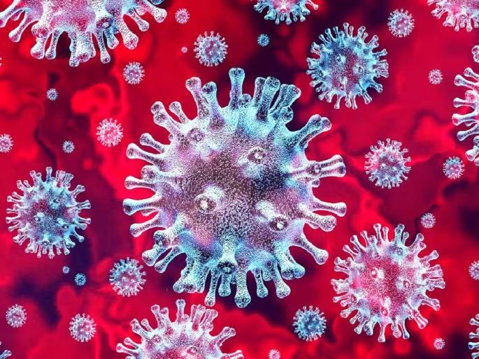 31 corona cases recorded on Friday in gondia district, the number of active patients has increased to 101 | जिल्ह्यात कोरोनाची ‘हॅटट्रिक’, शुक्रवारी ३१ बाधितांची भर 31 corona cases recorded on Friday in gondia district, the number of active patients has increased to 101 | जिल्ह्यात कोरोनाची ‘हॅटट्रिक’, शुक्रवारी ३१ बाधितांची भर