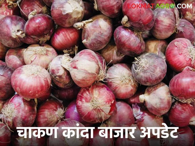Kanda Bajar Bhav : In Chakan Market Committee, the market price of onion is increasing How is the price getting? | Kanda Bajar Bhav : चाकण बाजार समितीत आवक वाढूनदेखील कांदा खातोय भाव... कसा मिळतोय दर Kanda Bajar Bhav : In Chakan Market Committee, the market price of onion is increasing How is the price getting? | Kanda Bajar Bhav : चाकण बाजार समितीत आवक वाढूनदेखील कांदा खातोय भाव... कसा मिळतोय दर