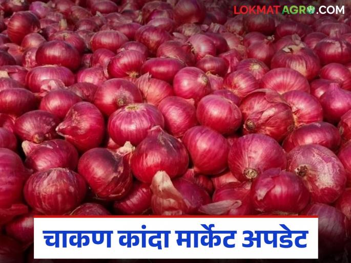 Kanda Bajar Bhav : Onion arrivals in Chakan market committee have decreased; What has improved the price? | Kanda Bajar Bhav : चाकण बाजारात समितीत कांदा आवक घटली; दरात काय सुधारणा झाली? Kanda Bajar Bhav : Onion arrivals in Chakan market committee have decreased; What has improved the price? | Kanda Bajar Bhav : चाकण बाजारात समितीत कांदा आवक घटली; दरात काय सुधारणा झाली?