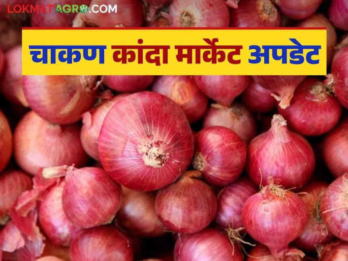 Kanda Bajar Bhav : What is the situation of onion prices in Chakan Market Committee; Read in detail | Kanda Bajar Bhav : चाकण बाजार समितीत कांद्याच्या भावाची काय परिस्थिती; वाचा सविस्तर Kanda Bajar Bhav : What is the situation of onion prices in Chakan Market Committee; Read in detail | Kanda Bajar Bhav : चाकण बाजार समितीत कांद्याच्या भावाची काय परिस्थिती; वाचा सविस्तर