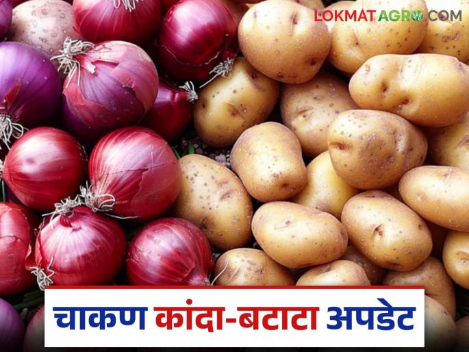 Large arrival of vegetables in Chakan Market Committee; How are onions and potatoes getting good prices? | चाकण बाजार समितीत भाजीपाल्याची मोठी आवक; कांदा बटाट्याला कसा मिळतोय दर? Large arrival of vegetables in Chakan Market Committee; How are onions and potatoes getting good prices? | चाकण बाजार समितीत भाजीपाल्याची मोठी आवक; कांदा बटाट्याला कसा मिळतोय दर?