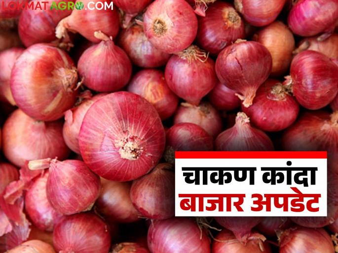 Kanda Bajar Bhav : Large arrival of onions in Chakan Market Committee: How are prices being obtained? | Kanda Bajar Bhav : चाकण बाजार समितीत कांद्याची मोठी आवक: कसा मिळतोय दर? Kanda Bajar Bhav : Large arrival of onions in Chakan Market Committee: How are prices being obtained? | Kanda Bajar Bhav : चाकण बाजार समितीत कांद्याची मोठी आवक: कसा मिळतोय दर?