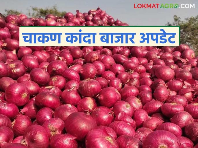 Kanda Market : Onion arrivals in Chakan Market Committee stable; Read how are prices being obtained? | Kanda Market : चाकण बाजार समितीत कांद्याची आवक स्थिर; वाचा कसा मिळतोय दर?