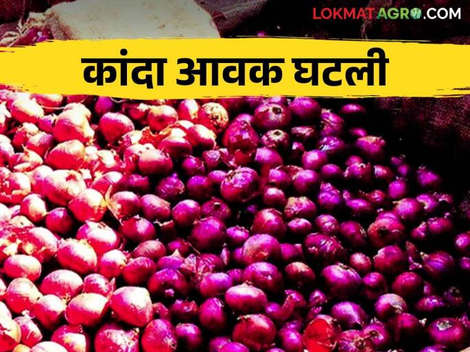 Kanda Bajar Bhav : Inward of onion decreased in Chakan Onion Market Committee.. How is the market price getting? | Kanda Bajar Bhav : चाकण कांदा बाजार समितीत कांद्याची आवक घटली.. कसा मिळतोय बाजारभाव