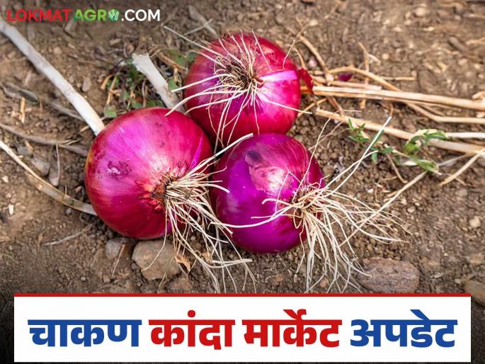 Kanda Batata Market : Large arrival of onions and potatoes in Chakan Market Committee; How are prices being obtained? | Kanda Batata Market : चाकण बाजार समितीत कांदा व बटाट्याची मोठी आवक; कसा मिळतोय दर? Kanda Batata Market : Large arrival of onions and potatoes in Chakan Market Committee; How are prices being obtained? | Kanda Batata Market : चाकण बाजार समितीत कांदा व बटाट्याची मोठी आवक; कसा मिळतोय दर?