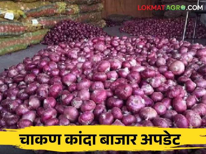 Kanda Bajar Bhav : Onion prices are hike due to decrease in the arrivals in Chakan market. There is a possibility of further price increase | Kanda Bajar Bhav : चाकण बाजारात आवक घटल्याने कांदा खातोय भाव.. आणखी दर वाढण्याची शक्यता Kanda Bajar Bhav : Onion prices are hike due to decrease in the arrivals in Chakan market. There is a possibility of further price increase | Kanda Bajar Bhav : चाकण बाजारात आवक घटल्याने कांदा खातोय भाव.. आणखी दर वाढण्याची शक्यता