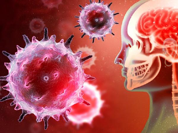 Danger of Chamki fever : Health Department's Neglect | चमकी तापाचा राज्यातही धोका : आरोग्य विभागाचे दुर्लक्ष Danger of Chamki fever : Health Department's Neglect | चमकी तापाचा राज्यातही धोका : आरोग्य विभागाचे दुर्लक्ष