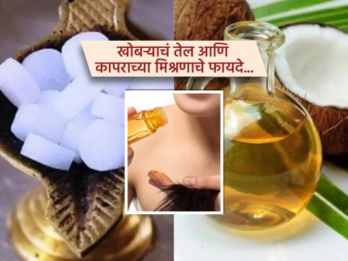Camphor and coconut oil benefits for hair and health | खोबऱ्याच्या तेलात कापूर घालून लावल्यास पाहा किती फायदे मिळतात? एक अनुभस, रोज कराल हा उपाय