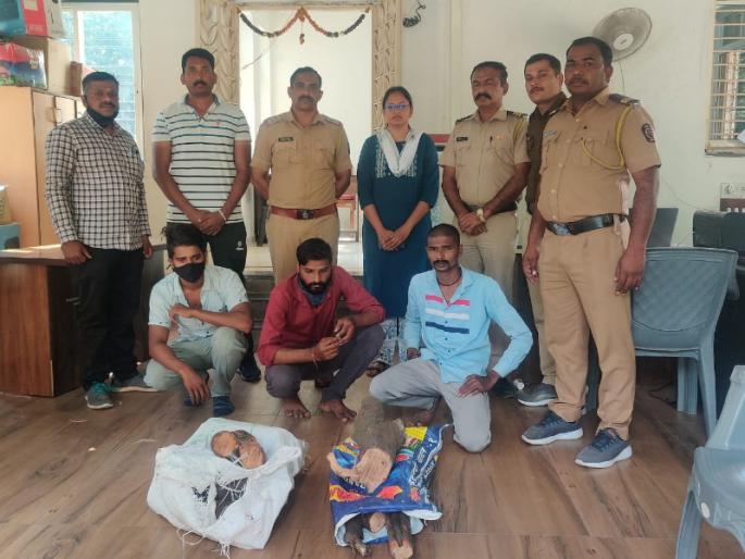 Three persons were arrested for selling sandalwood worth Rs 17,000 in Baramati | बारामतीत १७ हजारांचे चंदन विक्री करणाऱ्या तिघांना ठोकल्या बेड्या Three persons were arrested for selling sandalwood worth Rs 17,000 in Baramati | बारामतीत १७ हजारांचे चंदन विक्री करणाऱ्या तिघांना ठोकल्या बेड्या